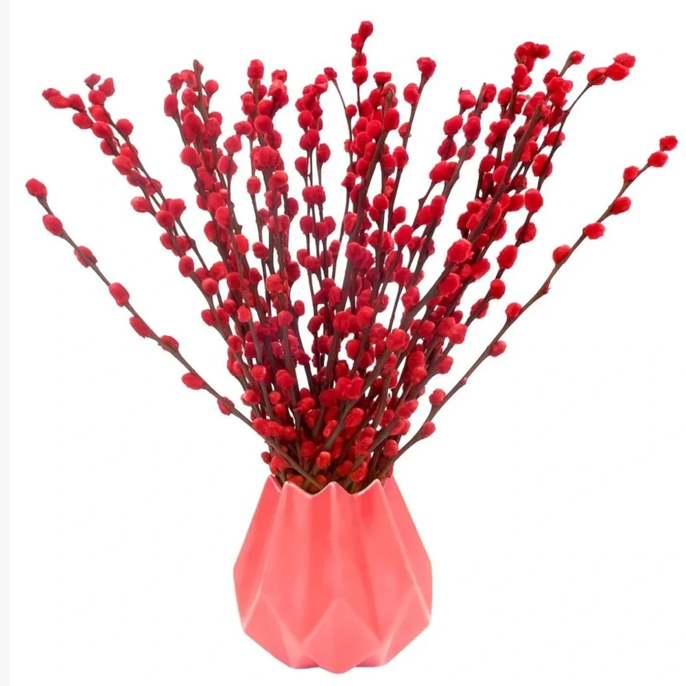 Red Willow Stems 100% Real Floral Plant Home Holiday Decor 16” Length (60pc)